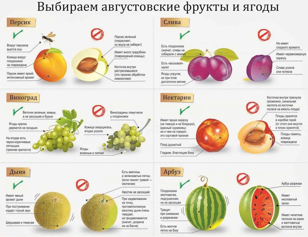 Какие овощи являются ягодами. Полезные фрукты и овощи. Таблица полезных овощей и фруктов. Сезонные фрукты и ягоды. Полезные витамины в овощах и фруктах.