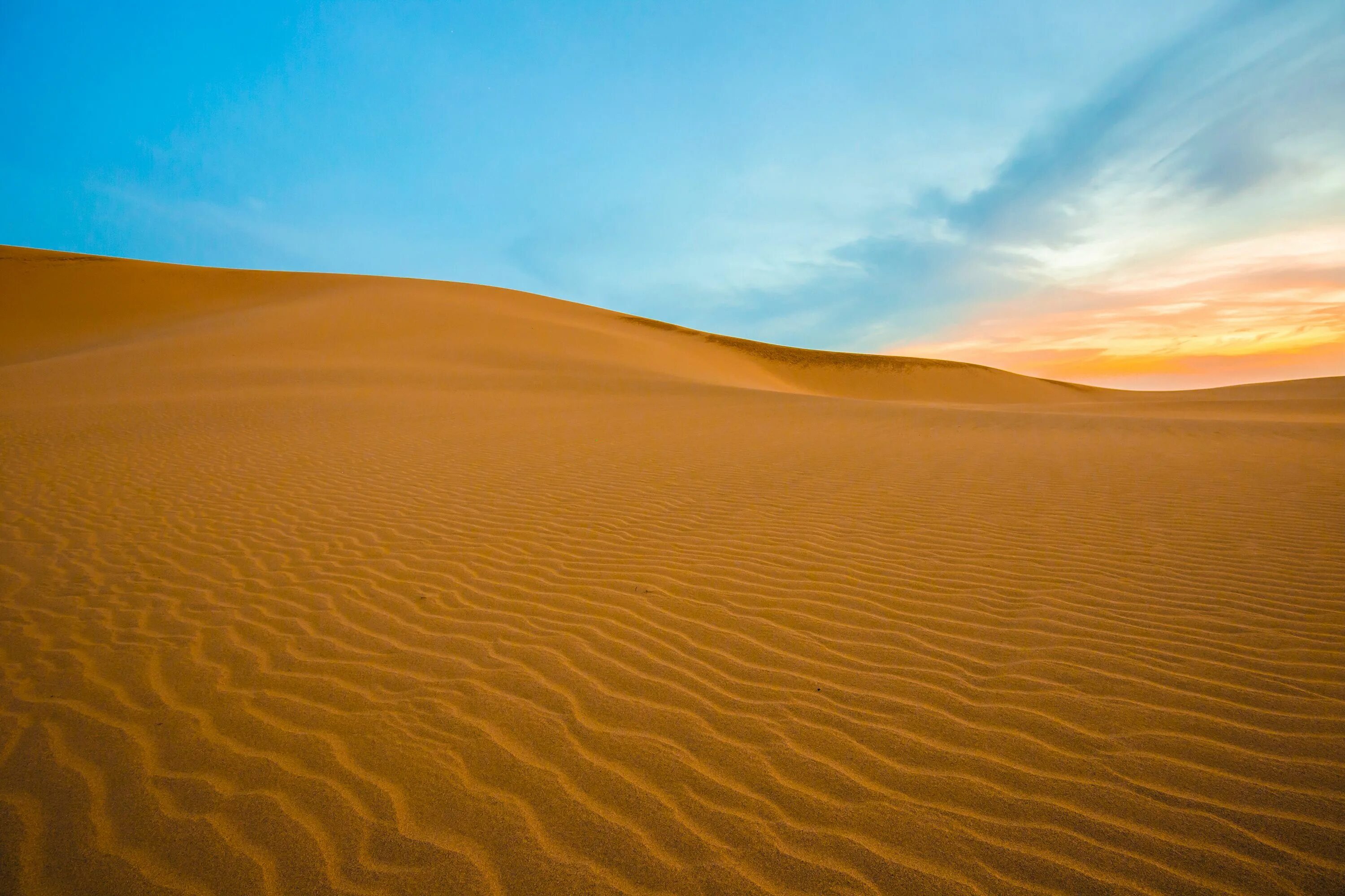 Приокеаническая пустыня. Пустыня в Японии. Песчаные дюны в Японии. Биом пустыни.