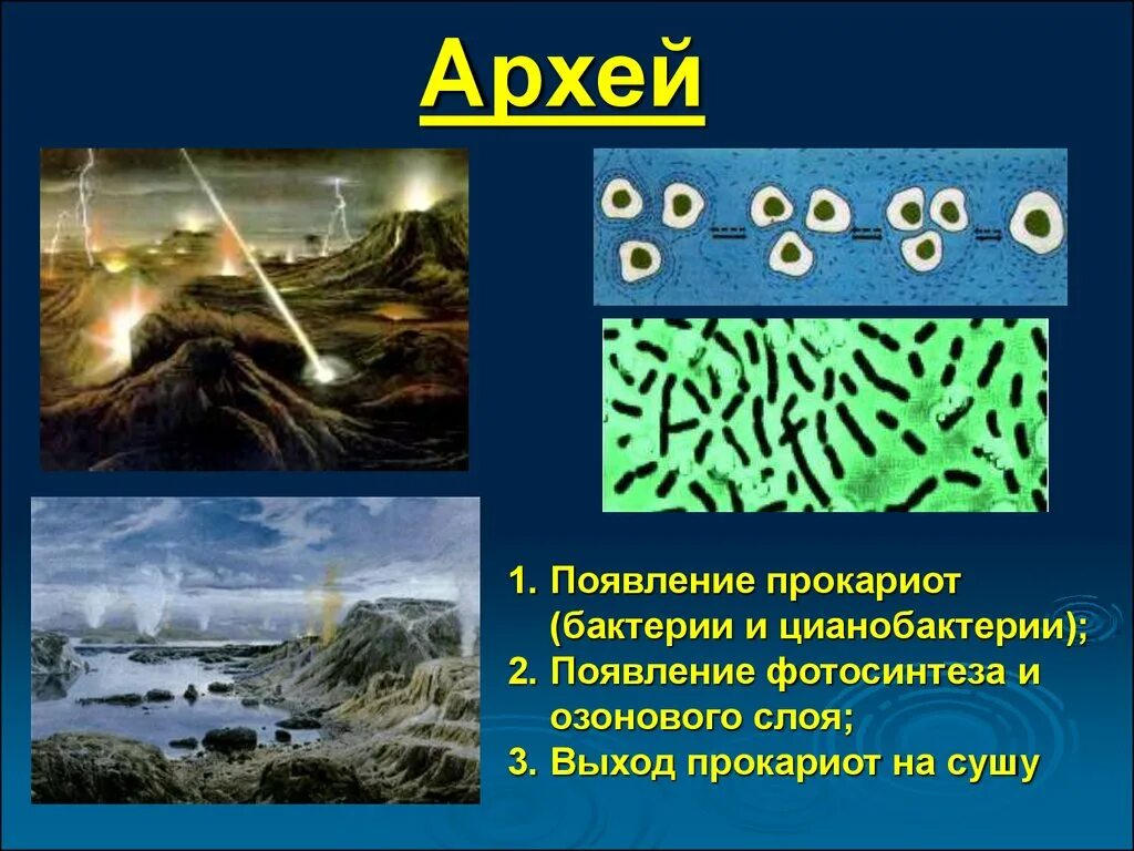 Появление кислорода эра. Архей жизнь на земле. Архейская Эра животные и растения. Архей бактерии и цианобактерии. Цианобактерии архейской эры.