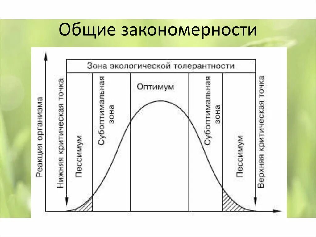 Закон оптимума фактора экология. Факторы среды зона оптимума. Зона оптимума график. Зона экологической толерантности. В экологии существуют определенные закономерности воздействия экологических