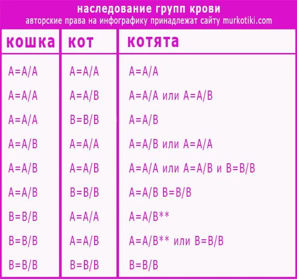 Группа крови у собак. Группы крови у кошек. Какая группа крови у котов. Группы крови у животных. Группы крови кошек совместимость.