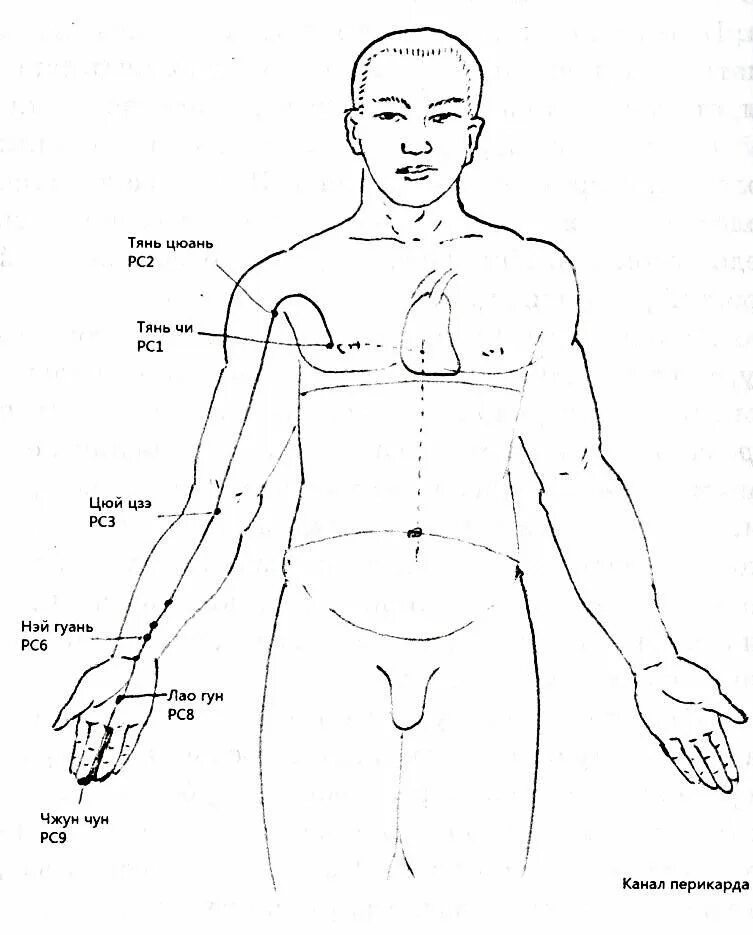 Меридиан перикарда в китайской медицине точки. Канал перикарда акупунктурные точки. Меридиан сердца в китайской медицине точки. Меридиан желчного пузыря точки простукивание.
