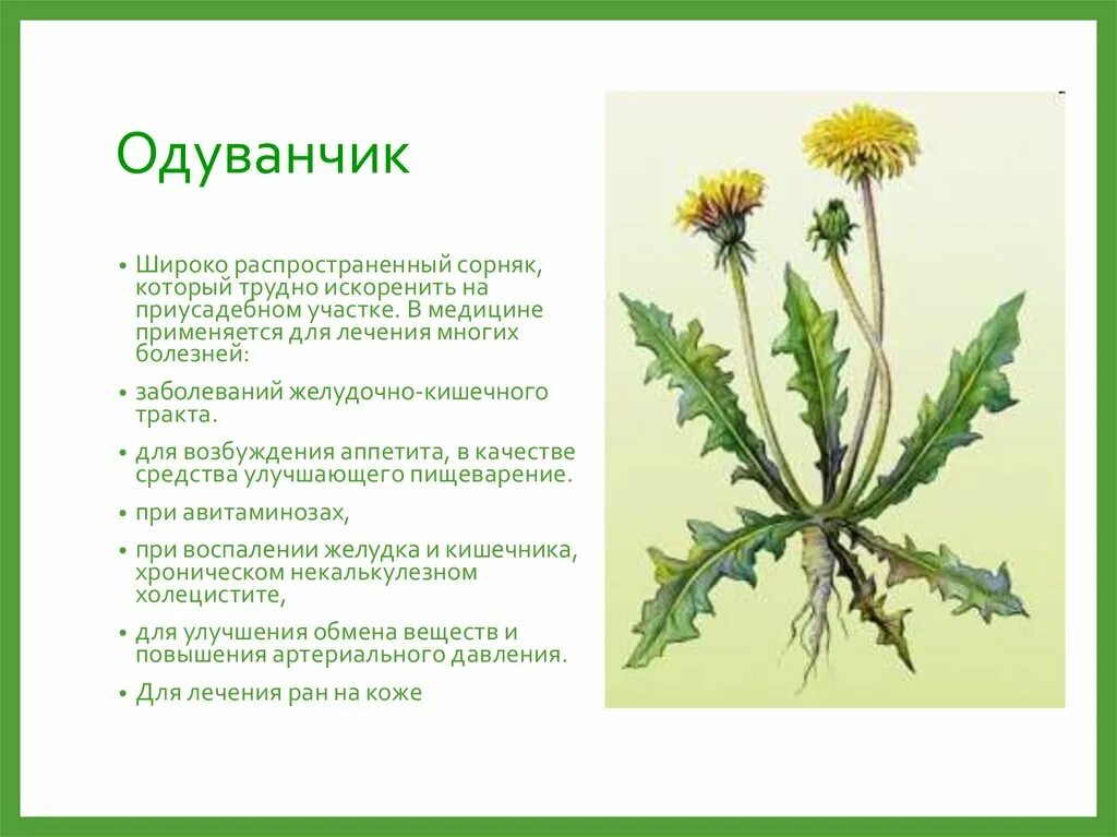 Широко распространенный