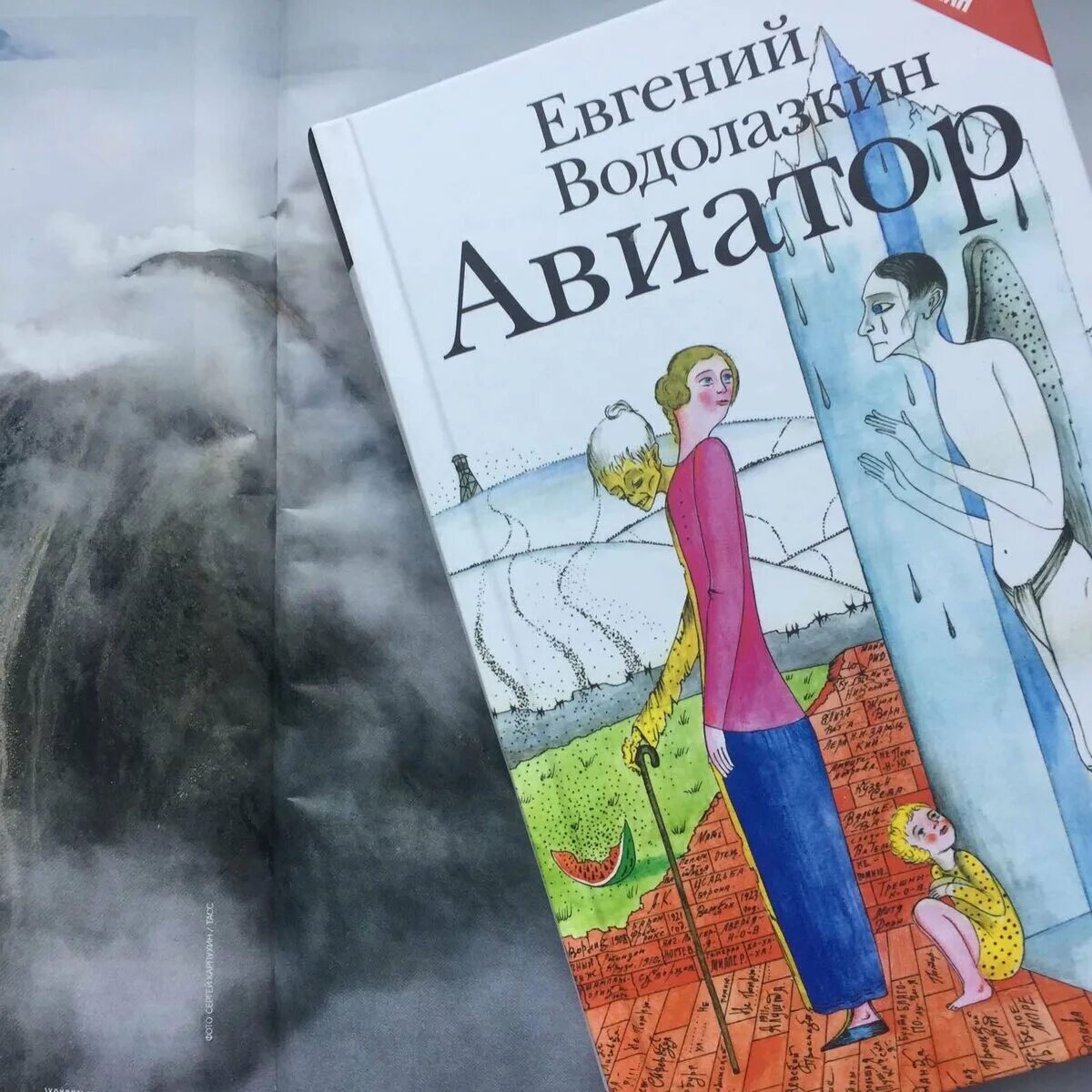 Книга авиатор 10 дорина. Авиатор Водолазкин. Водолазкин Авиатор герои.