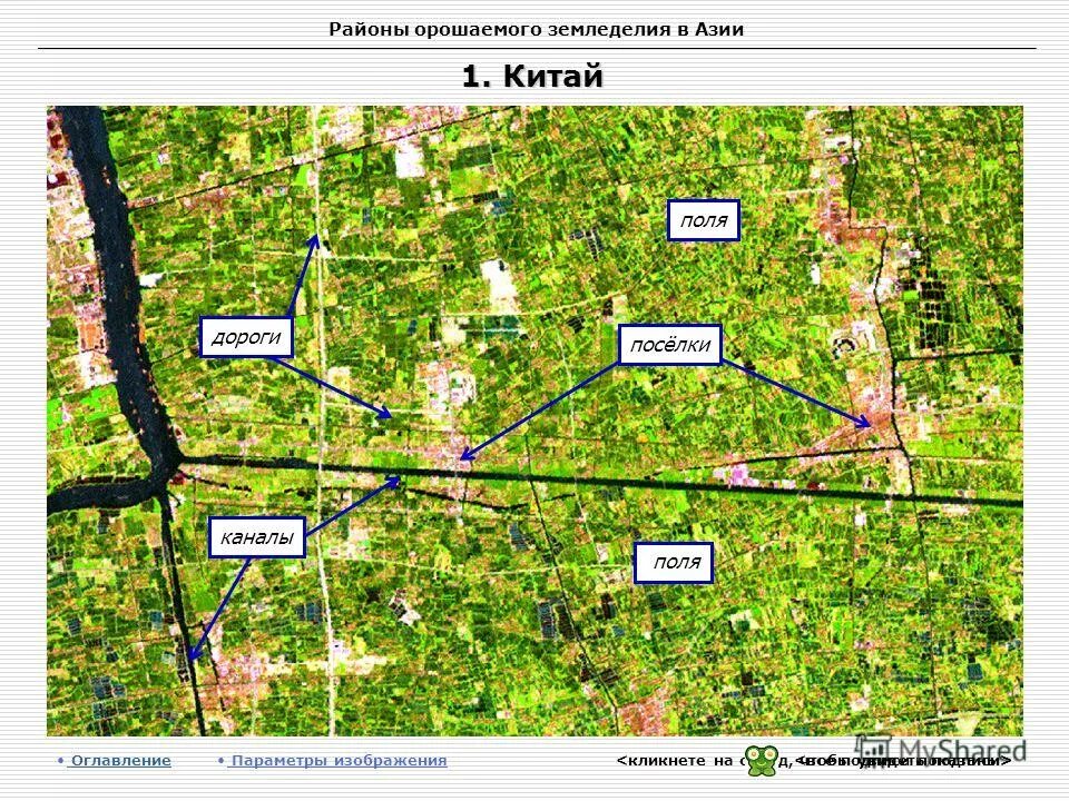 Древнейший район земледелия. Районы возделывания риса пшеницы и чая в китае. Древнейший район земледелия и скотоводства. Районы земледелия в азии. Районы земледелия в азии.
