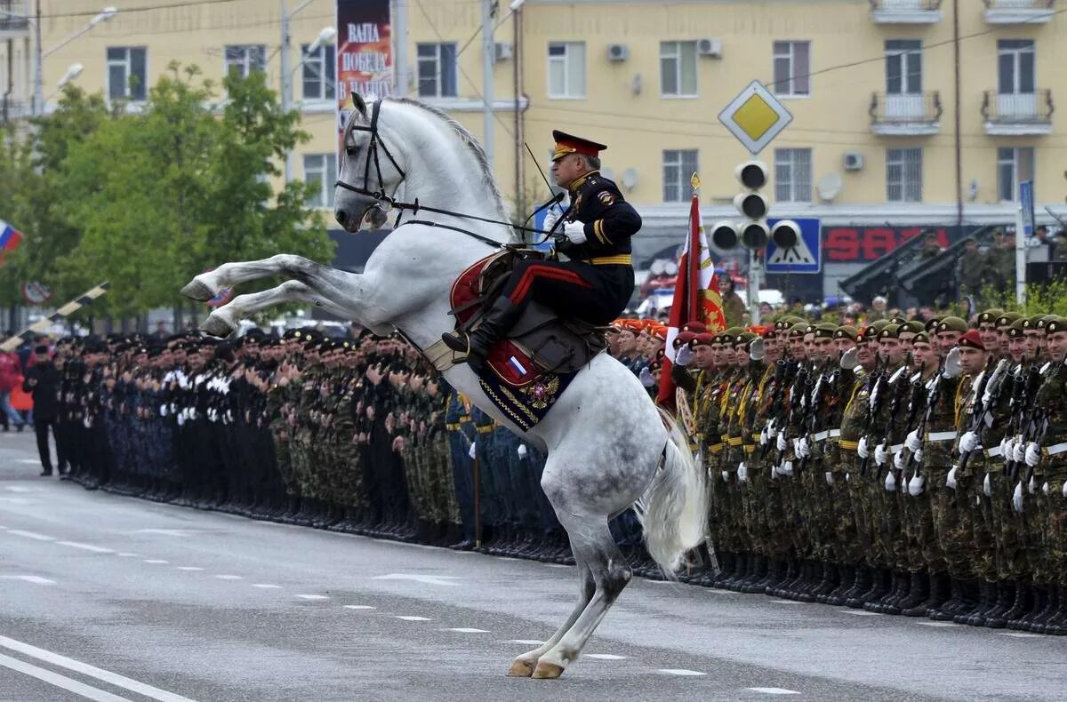 Маршал парад. Парад лошадей. конь на параде. лошади на параде победы. парад победы кавалерия.