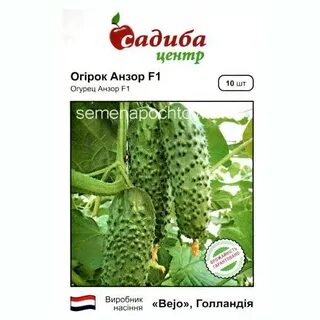 Огурец анзор