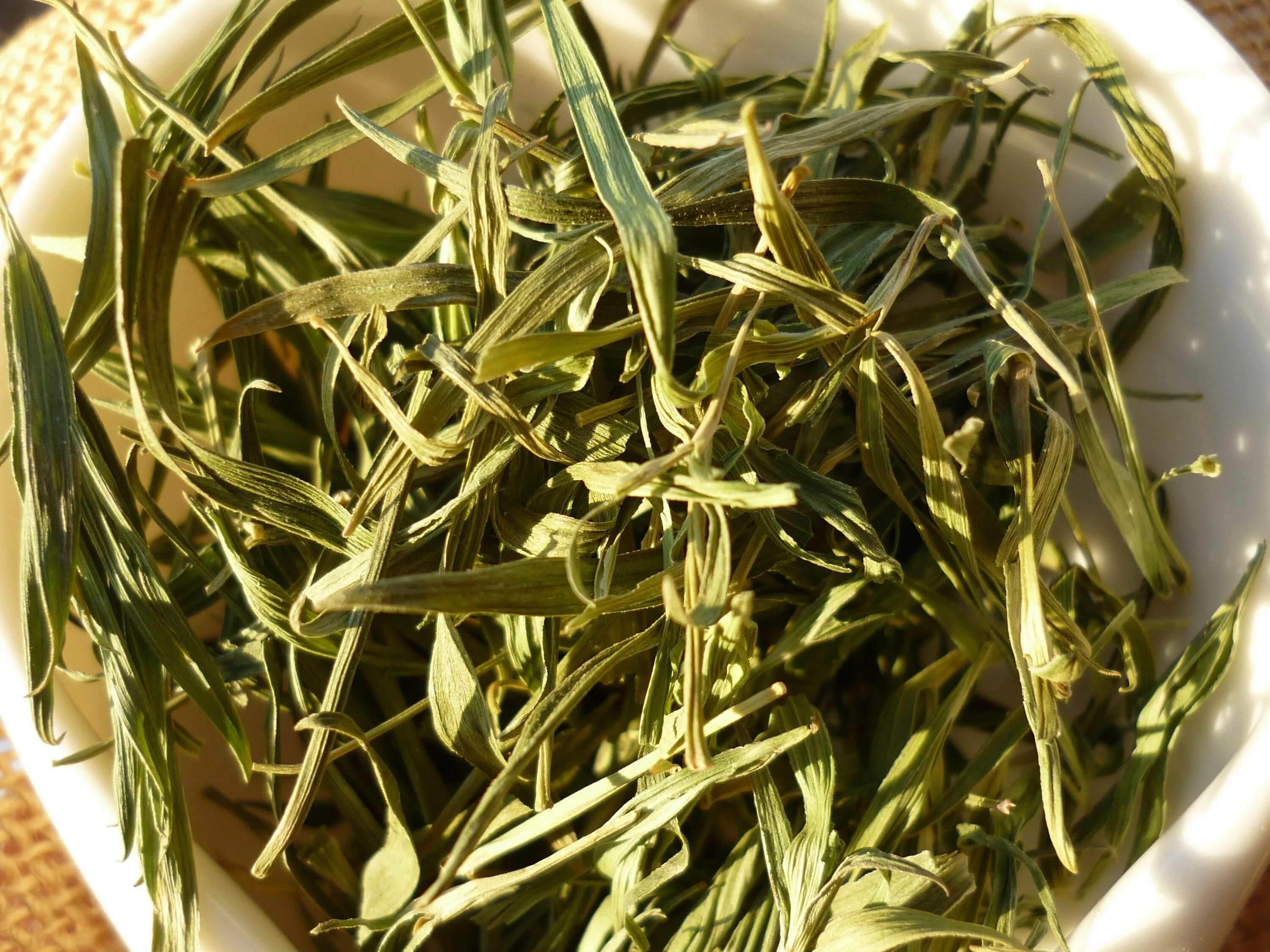 Растения чай с бамбуком. Молодой бамбук чай. Чай бамбуковая зелень. Zhuyeqing tea. Зеленый чай и бамбук.