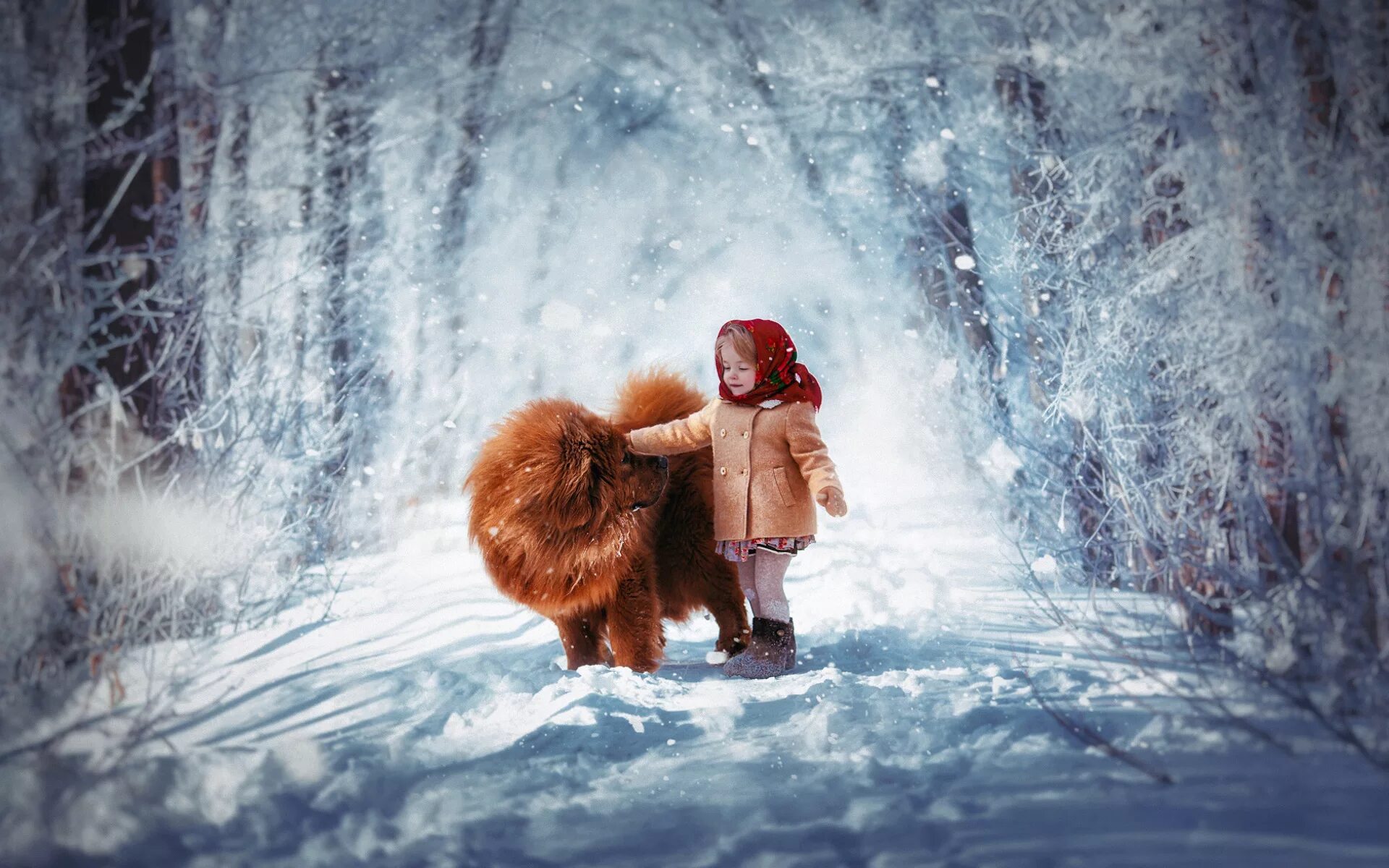 Где прячется мороз. Дети зимой. Радость зимой. Зимняя фотосессия в лесу. Фотосессия зимой в лесу дети.