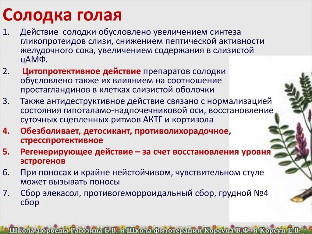 Корень солодки механизм действия. Солодка полезные св-ва. Солодка корень полезные свойства. Солодка корень свойства. Солодка давление