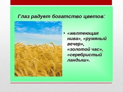 Анализ стихотворения желтеющая нива 7 класс