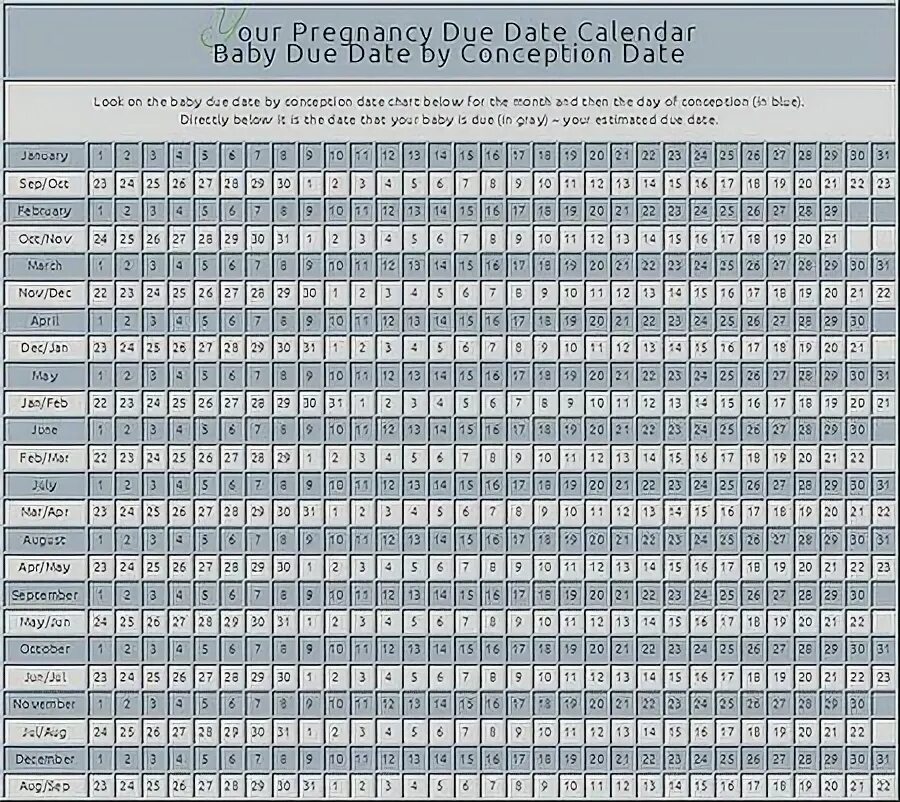 Календарь беременности. Календарь для беременных. Кален беременности календарь. Календарь беременности 2022. Календарь беременности мальчик 2024