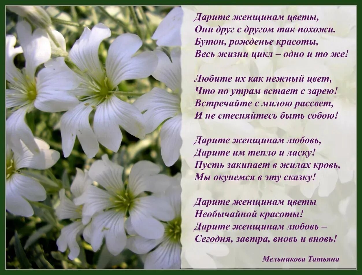 Картинки со стихами дня. Стихи про цветы красивые. Стихи про цветы и женщину. Дарите женщинам цветы стихи. Стихи о цветах короткие красивые.