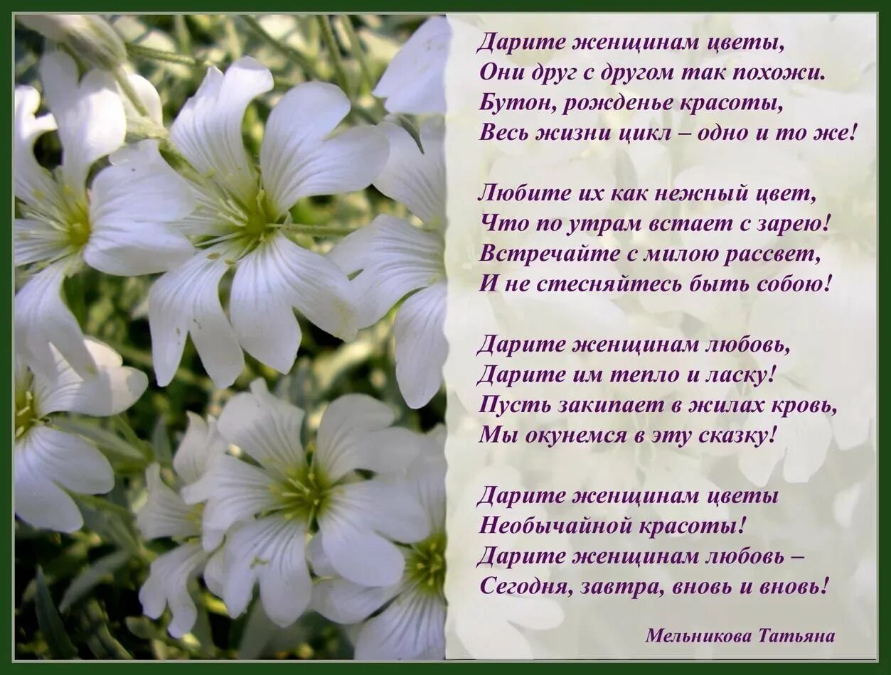 Стихи про цветы. Красивые стихи о цветах. Стихи про цветы красивые. Цветы картинки со стихами. Нежные пожелания в стихах