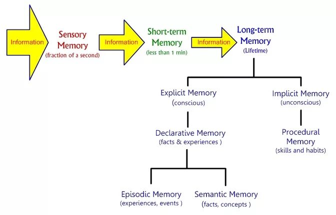 Short memory. Long term Memory. Short term Memory. Long short term Memory. Declarative Memory.