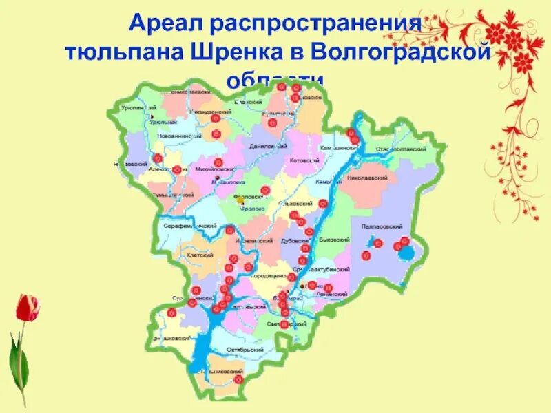 Где в волгоградской области растут