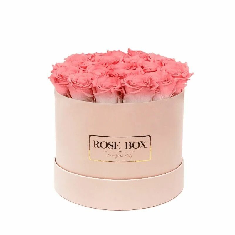 Черный бокс с розами прости. Rose box. Rose box. Rose box. Rose (box) v-47.