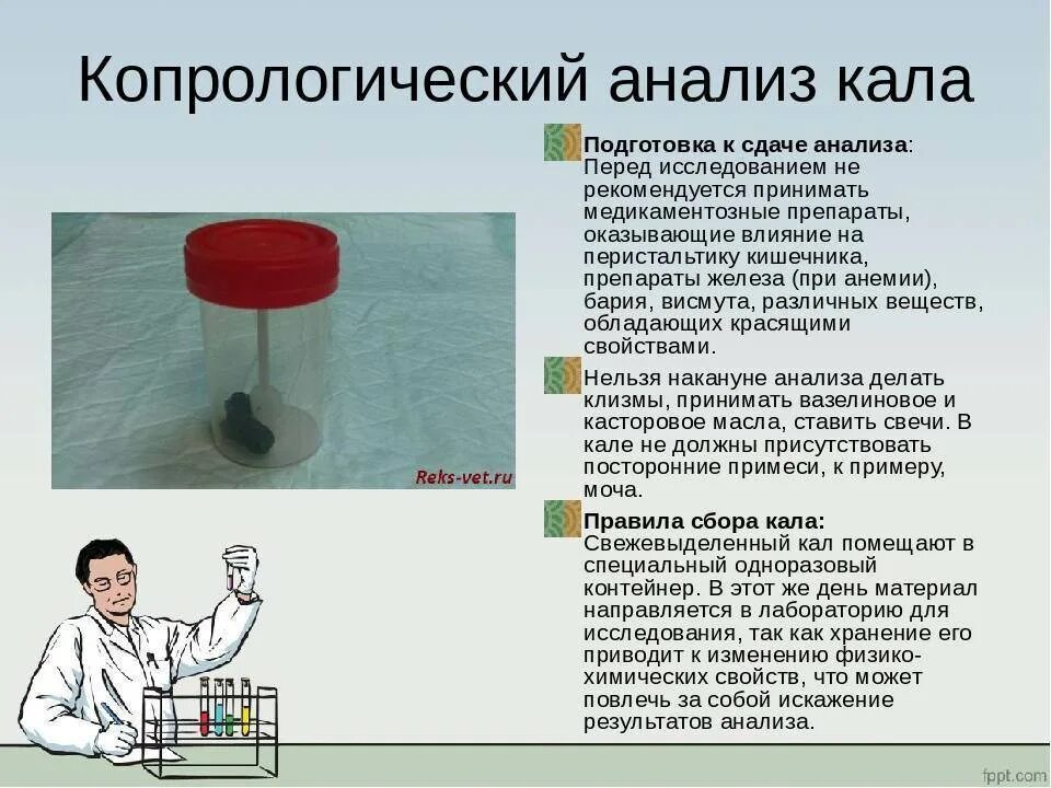 Анализ кала ребенок хранить