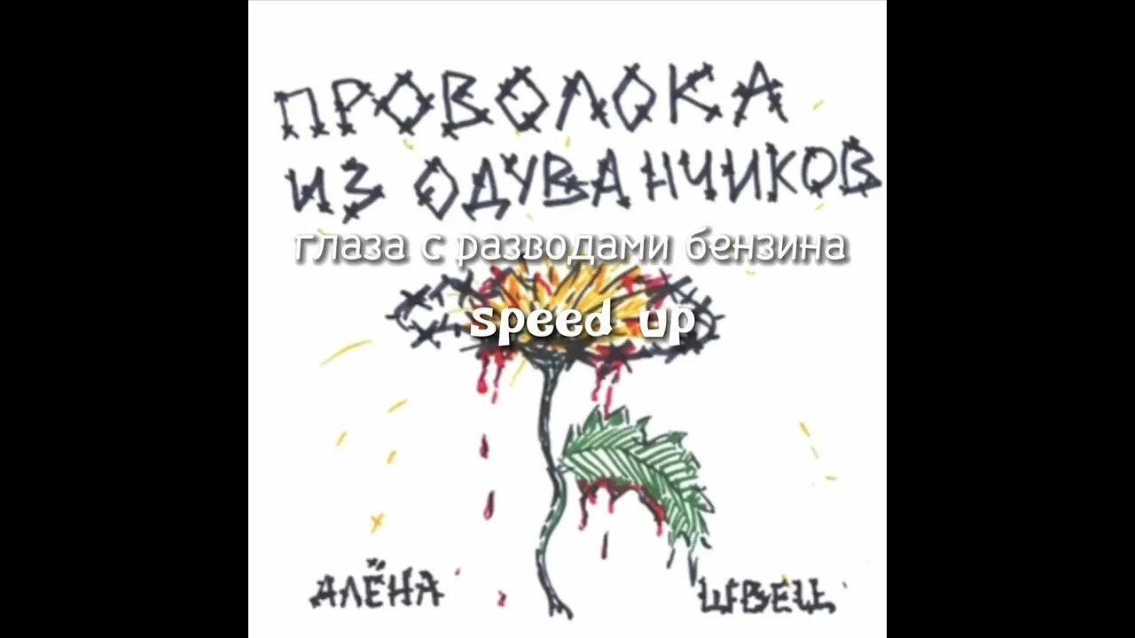 Песня алены швец глаза с разводами. Глаза с разводами бензина текст Алена Швец.