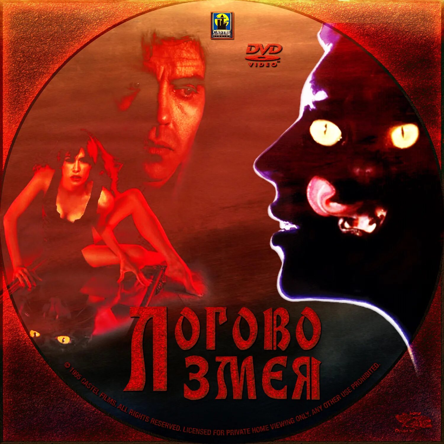 Логово змея (1995) Постер. В логове змеи 1995 Постер.