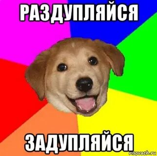 Раздуплиться