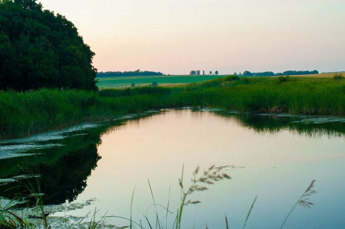 средний икорец пляж. река икорец. село средний икорец воронежская область. село средний икорец детский сад. река икорец лискинский район.