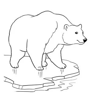 Раскраски Белый Медведь - распечатать и скачать