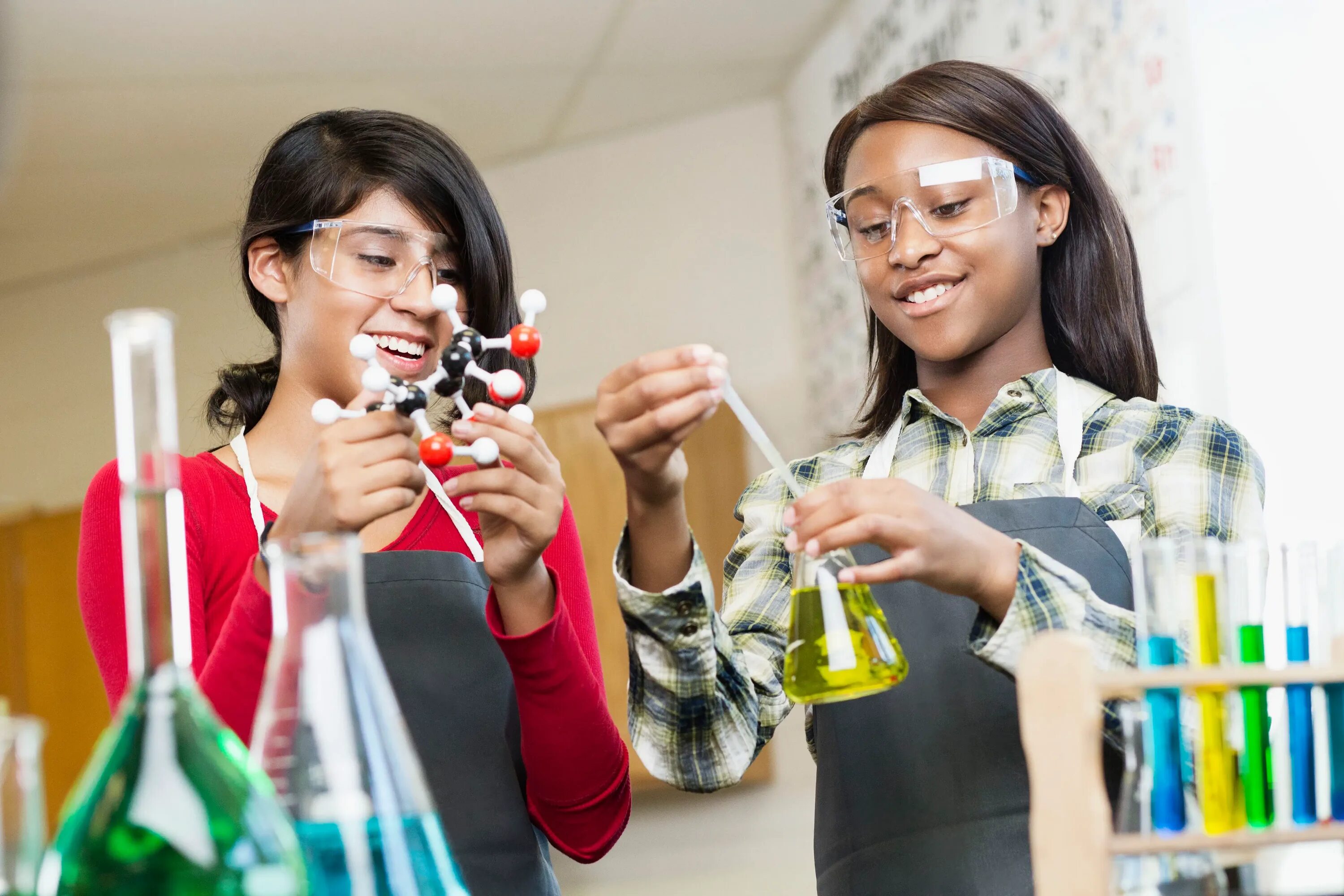 Школа наука жизни. Урок химии в США. Эксперимент со студентами. Научный проект Fair. Идеи для научных проектов.