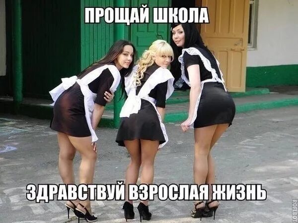 Девушка после школы 18. Школьница прикол. Мемы про старшеклассниц. Школьницы выпускной. Выпускница попа