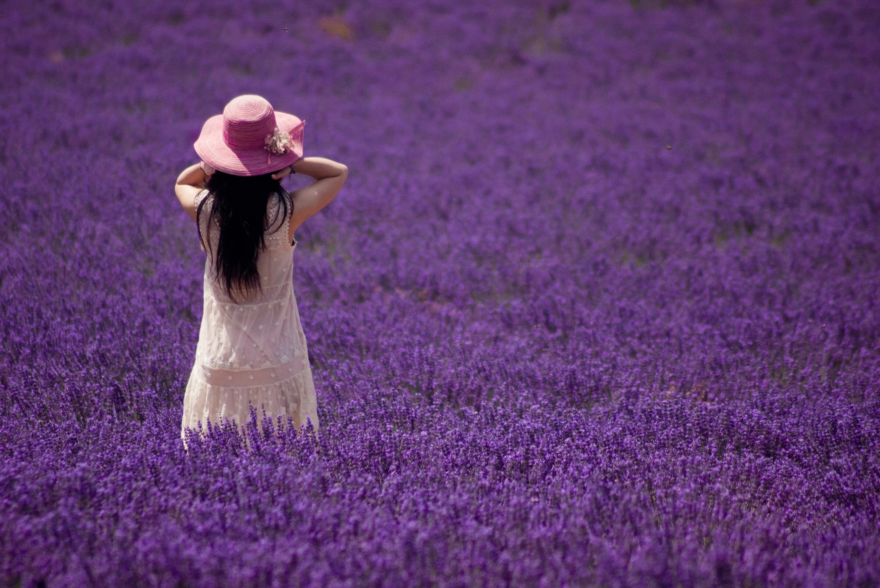 Женщина без цветов как. Лавандовые поля во Франции девушка. Фиолетовые цветы в поле. Девушка в лавандовом поле. Фотосессия в лавандовом поле.