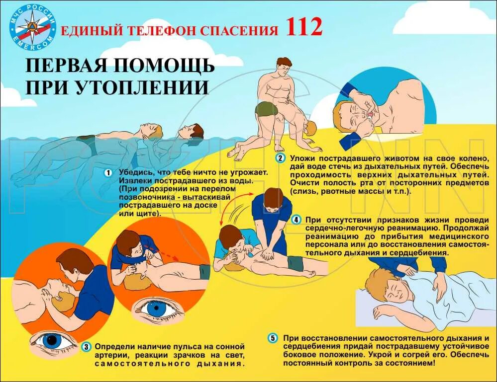 Оказание первой помощи в бассейне. Оказание первой помощи в бассейне