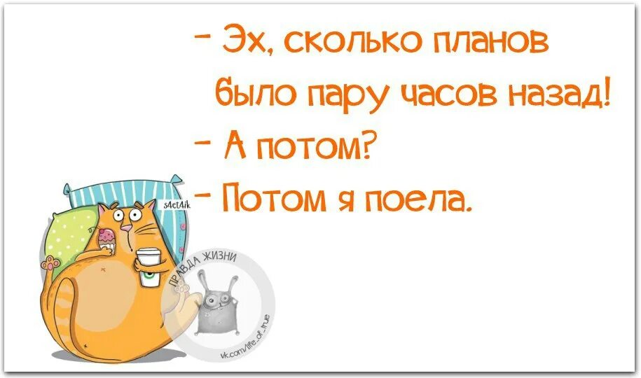 18 часов назад было. Столько было планов а потом я поела. Столько было планов а потом я поела картинки. Столько было планов. Эх сколько планов было пару часов назад а потом.