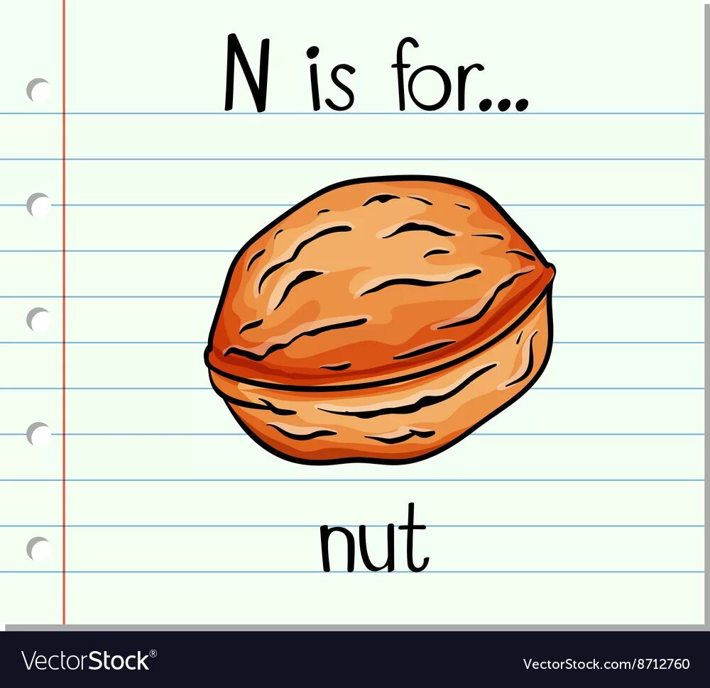 Как переводится nut. Nut карточка на английском. Орех карточка для английского. Карточки с английскими словами nut. Карточки по английскому с картинками nut.