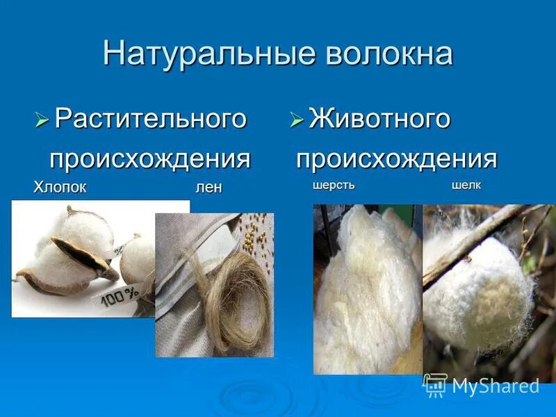 природные волокна животного происхождения. волокна животного происхождения. шелк животного происхождения. натуральные волокна животного. волокна животного происхождения.
