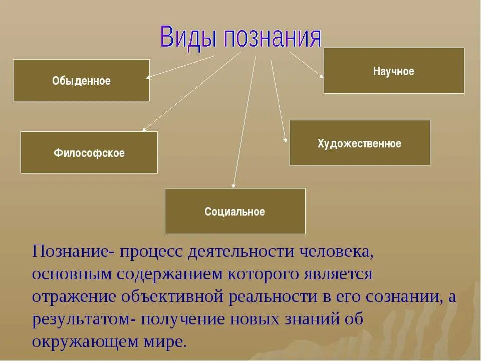 Социальное отражение является