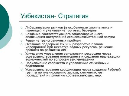 Стратегия новый узбекистан