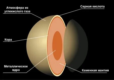 Состав венеры