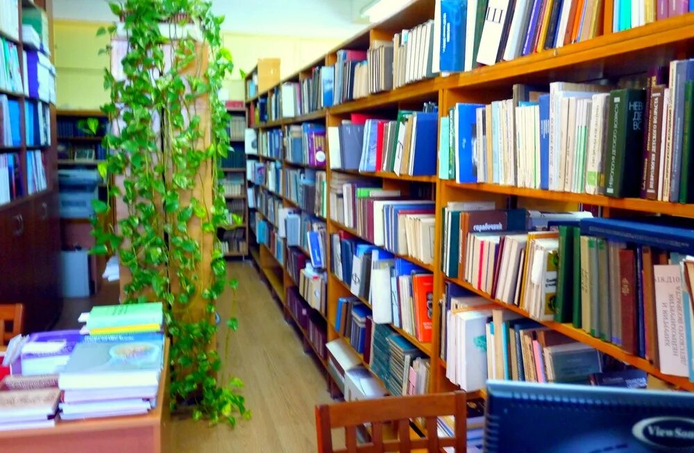 библиотека дипломных работ