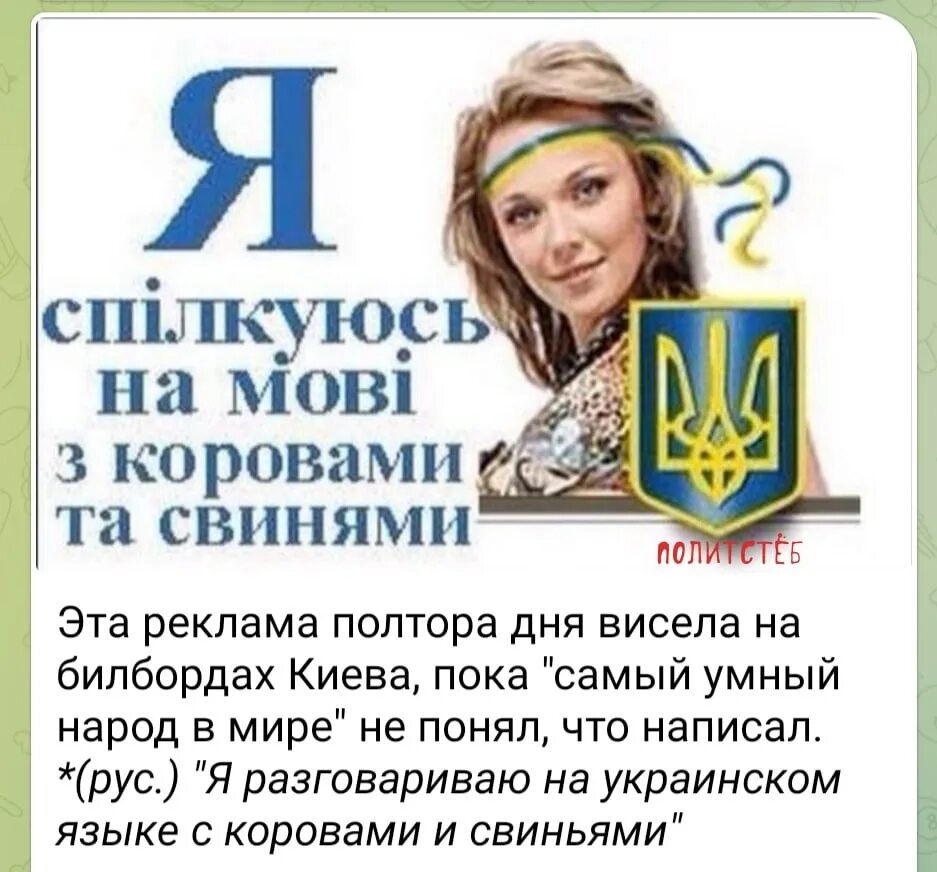 Украинский язык купить. Украинская мова. Украинскую мову. Приколы про мову. Учить мову.