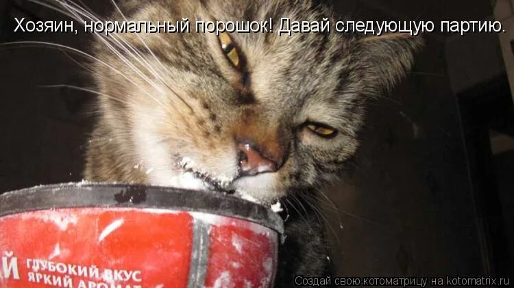 Давай следующую крутую. Мемы крутой чувак. Не надо не давай мне надежду. Давай следующую крутую. Давай следующую крутую.