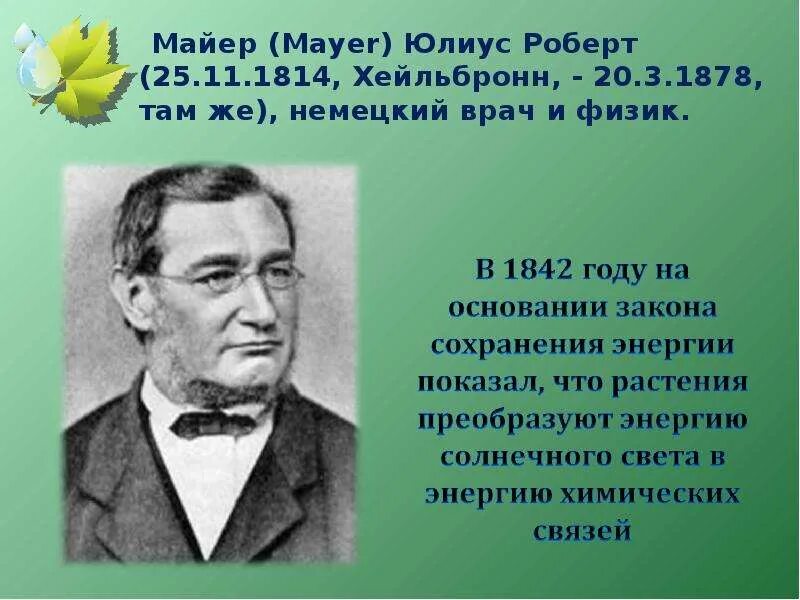 Майер физика. Майер физика. Майер физика. Майер ученый. Юлиус майер.
