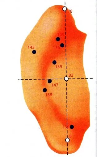 Аурикулотерапия атлас точек. Аурикулярная акупунктура точка ат34. Атлас аурикулярной рефлексотерапии. Аурикулярная точка 55.
