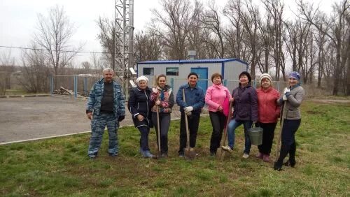 Погода костино быстрянский морозовский район. Костино-Быстрянское сельское поселение. Костино Быстрянский Морозовский район. Хутор Костино Быстрянский Ростовская область. Костино Быстрянское сельское поселение Морозовского района.