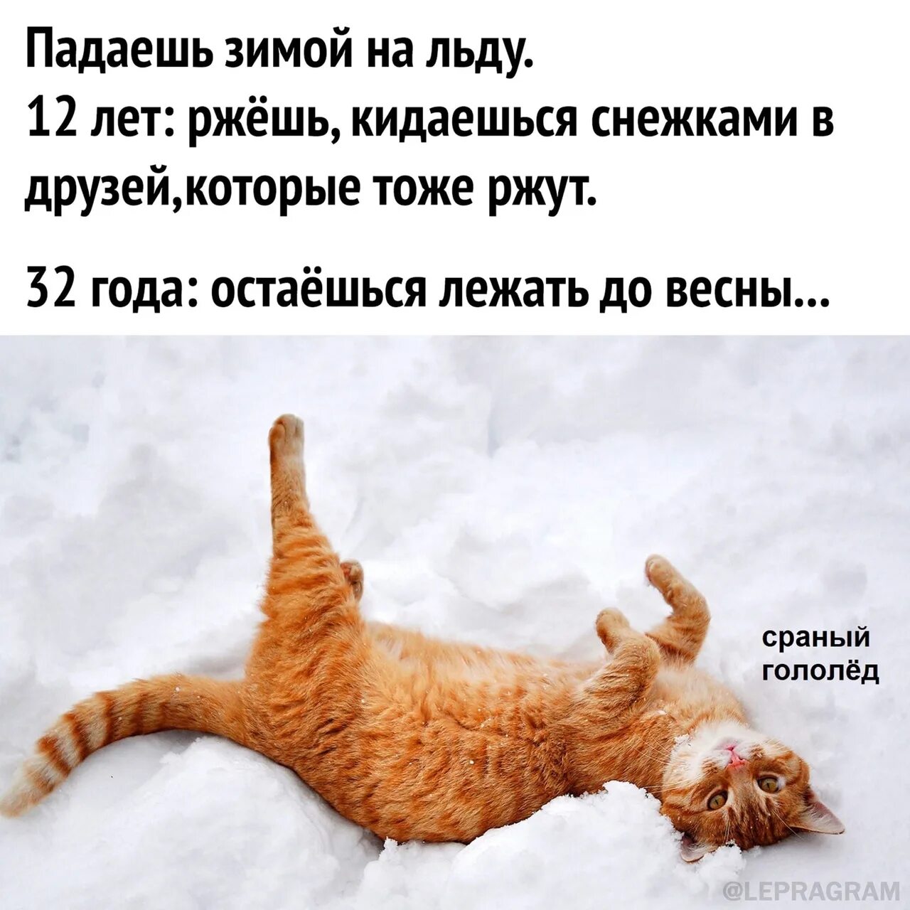 Лежал лежал весной