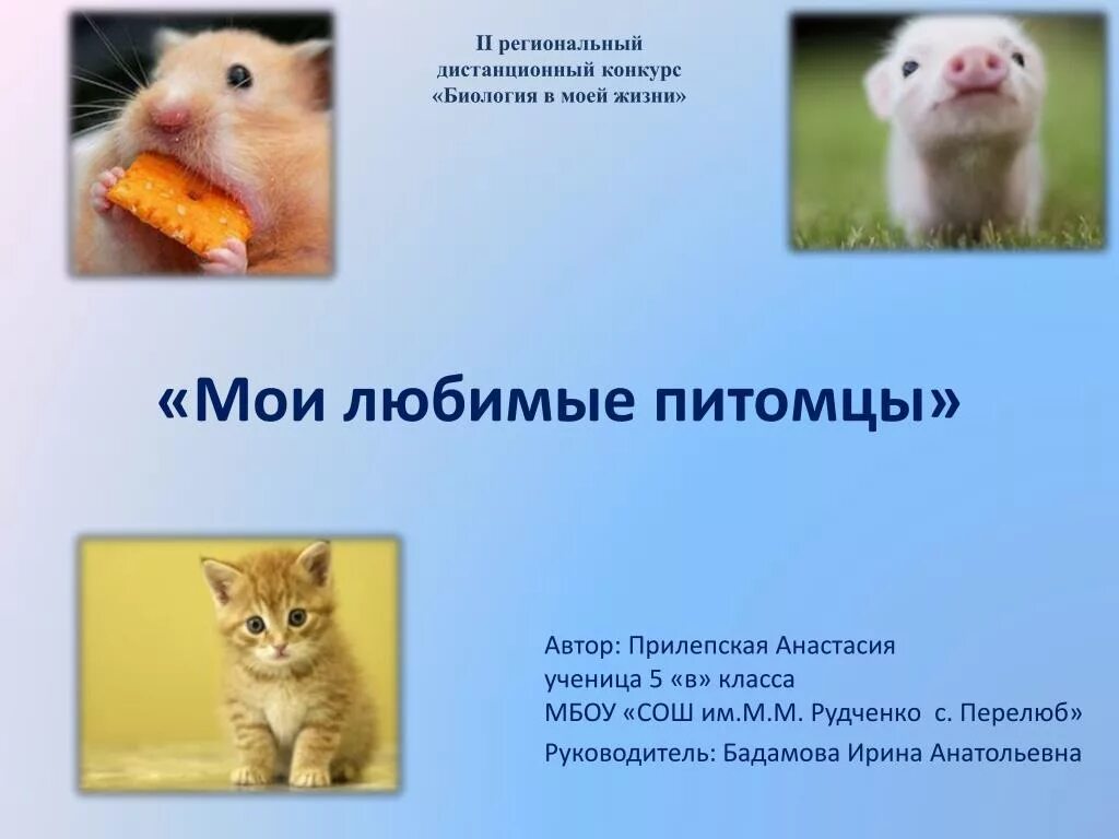 Проект биология 5 класс мое любимое животное Мой любимый питомец