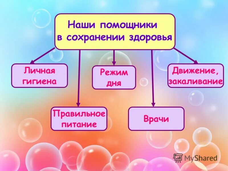 Правила гигиены и сохранения здоровья