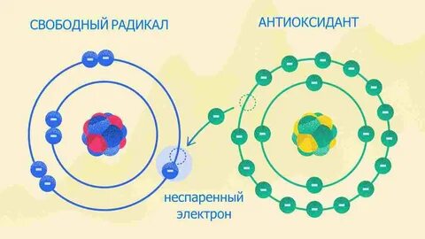 Свободные радикалы свойства