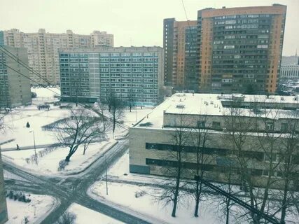Мсг санкт петербург