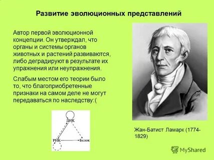 Зарождение эволюционных представлений