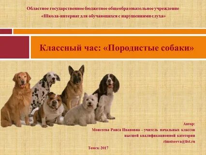 Применение собак по породам